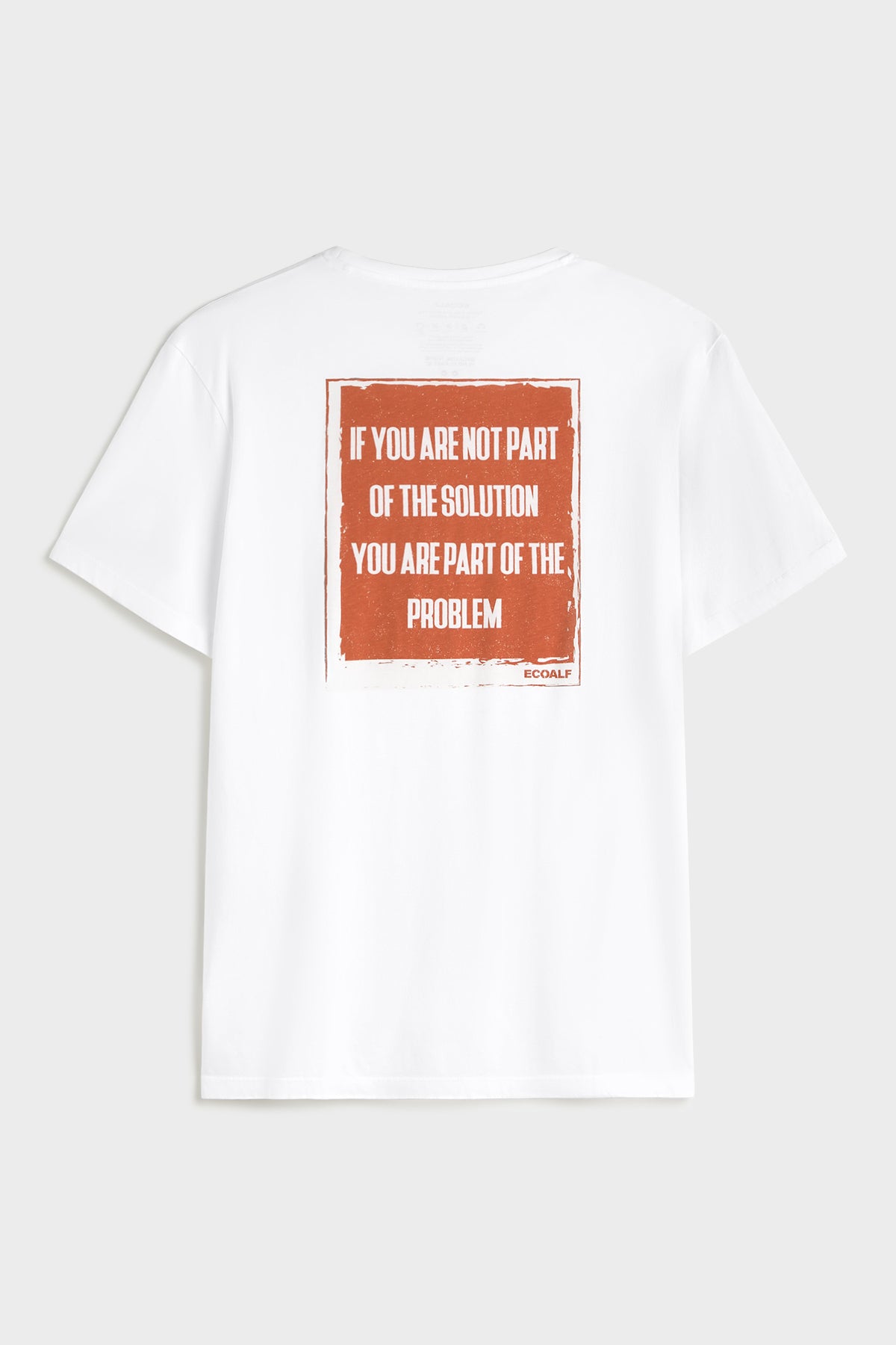 camiseta-sodi-blanca-de-ecoalf image 5