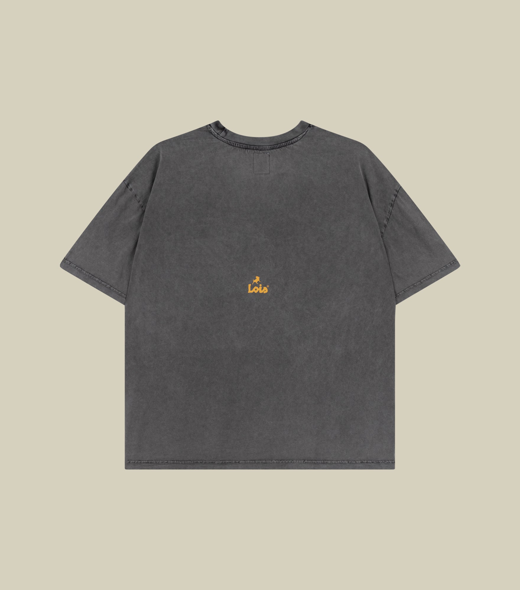 lois-lio-tee-camiseta-de-mujer-100-algod-n-en-gris-lavado image 2