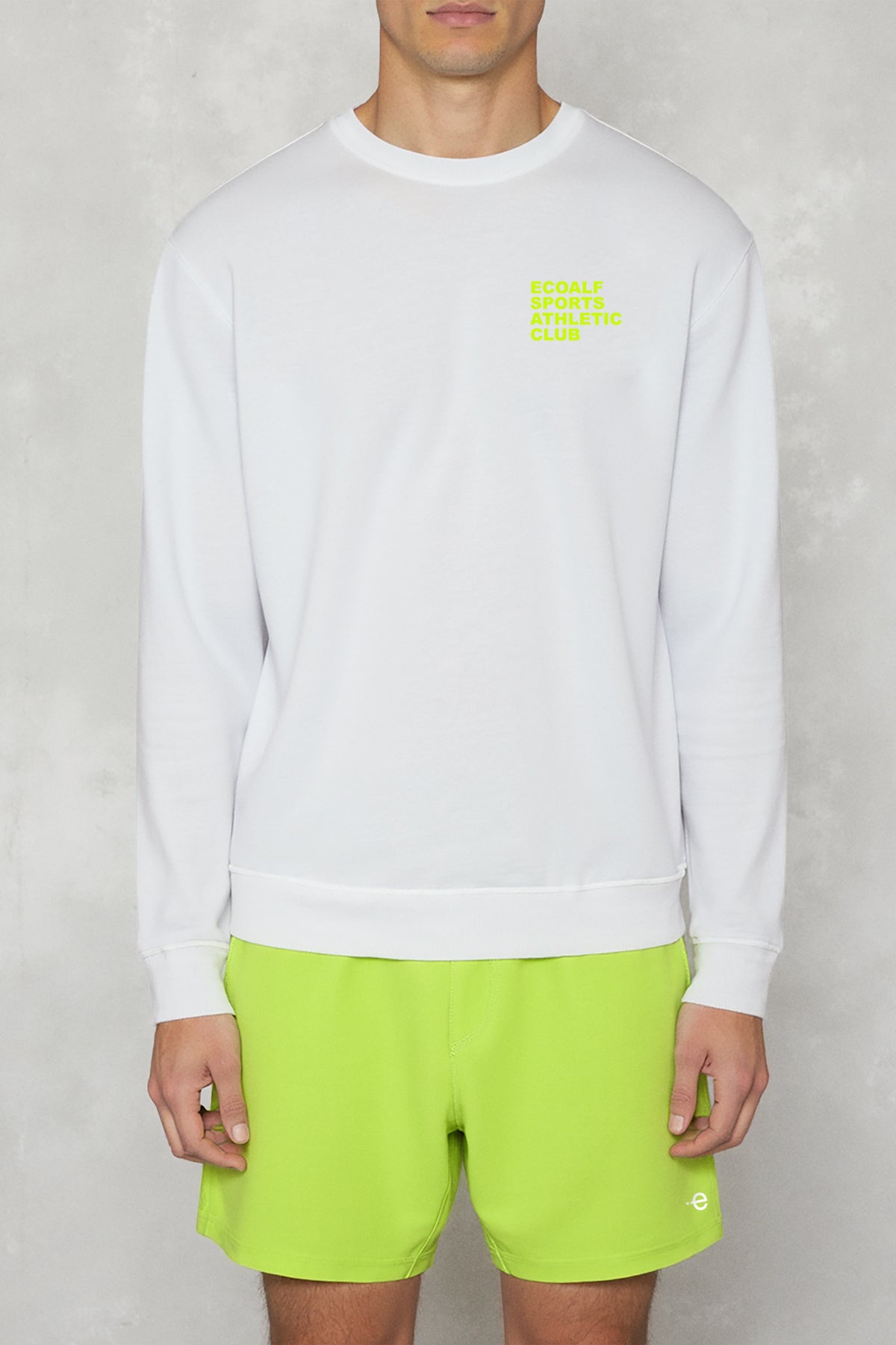 ecoalf-sudadera-unisex-thompson-gris-algod-n-org-nico-y-reciclado image 4